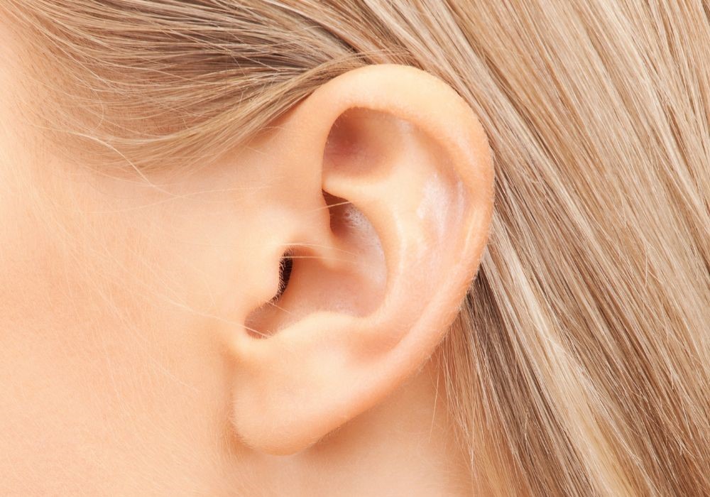 orecchio 1